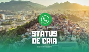 Frases de cria para status